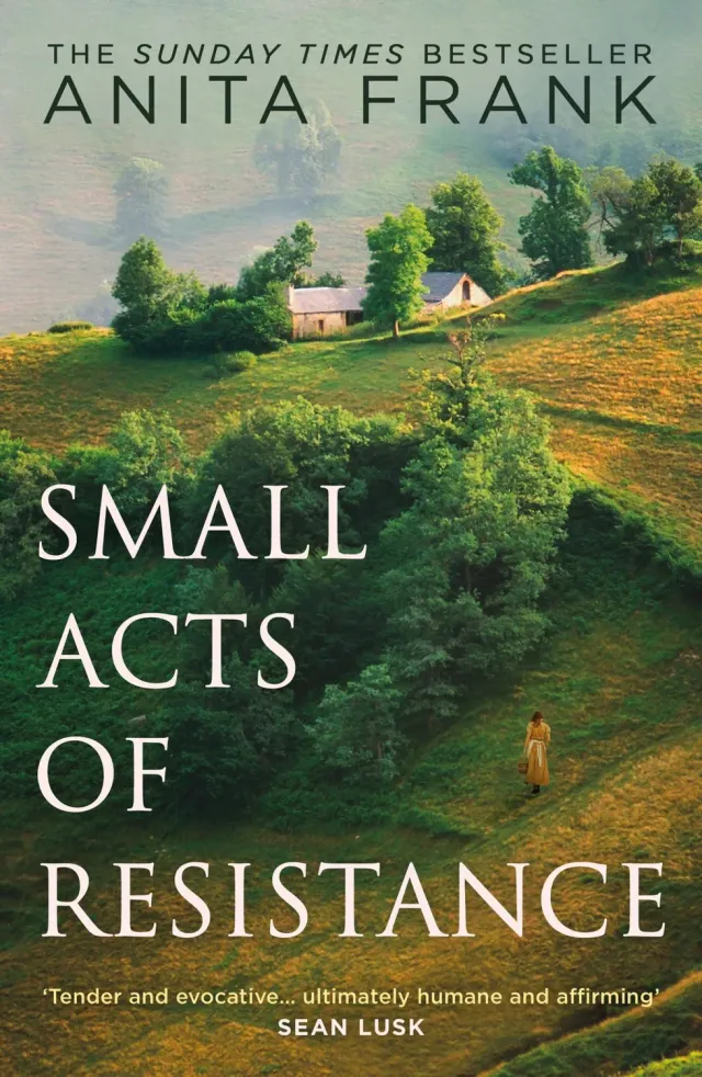 Wingbearer Saga Small Acts of Resistance pocketbok krig