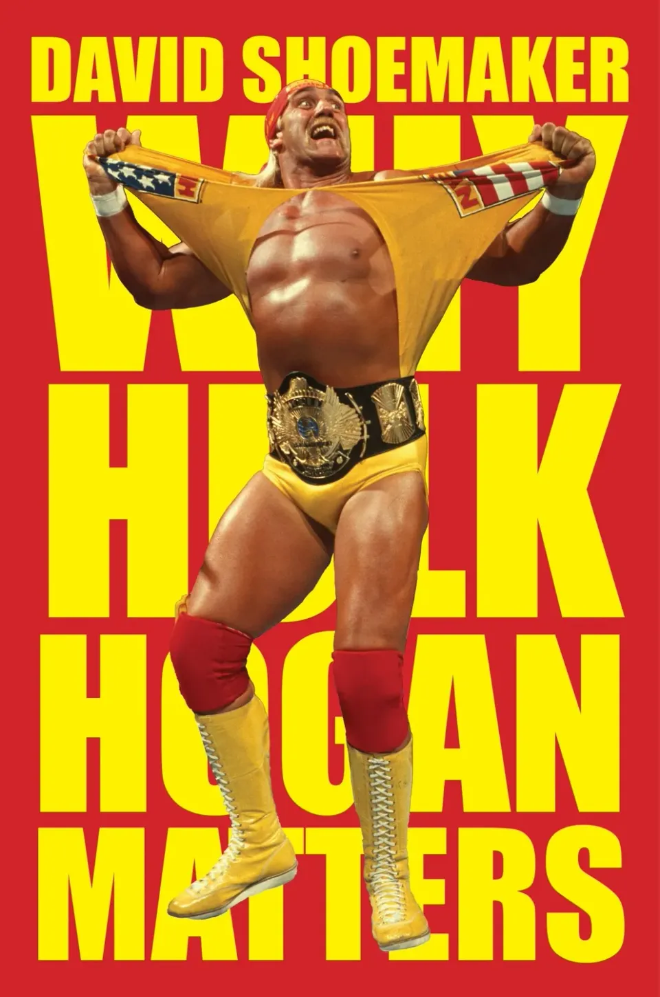 Wingbearer Saga Why Hulk Hogan Matters bok hardcover