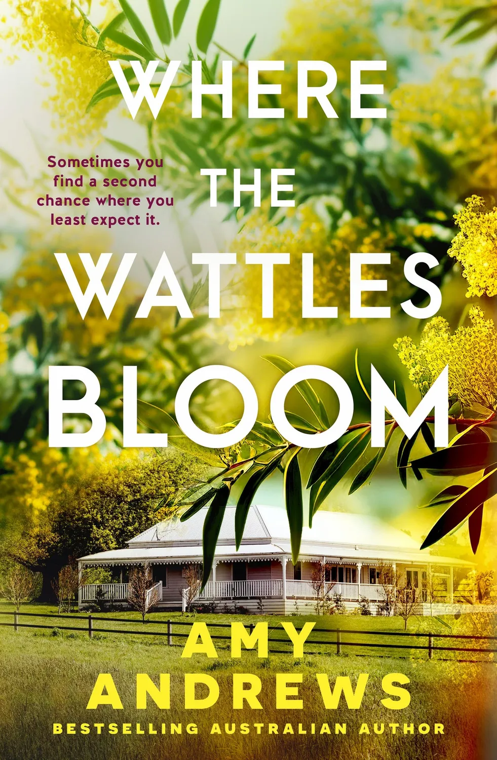 Wingbearer Saga Where the Wattles Bloom roman e-bok