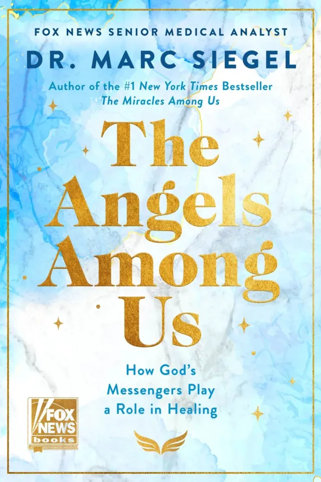Wingbearer Saga The Angels Among Us bok innbundet tro