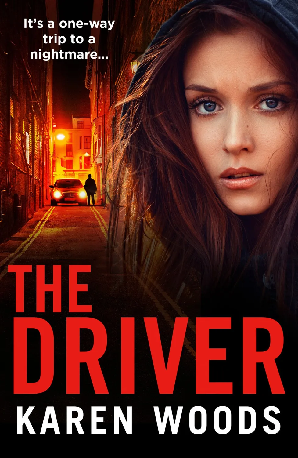 Wingbearer Saga The Driver Karen Woods pocket krim