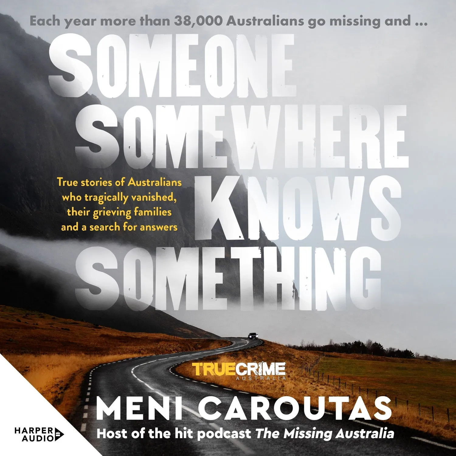 Wingbearer Saga Someone Somewhere pocketbok true crime