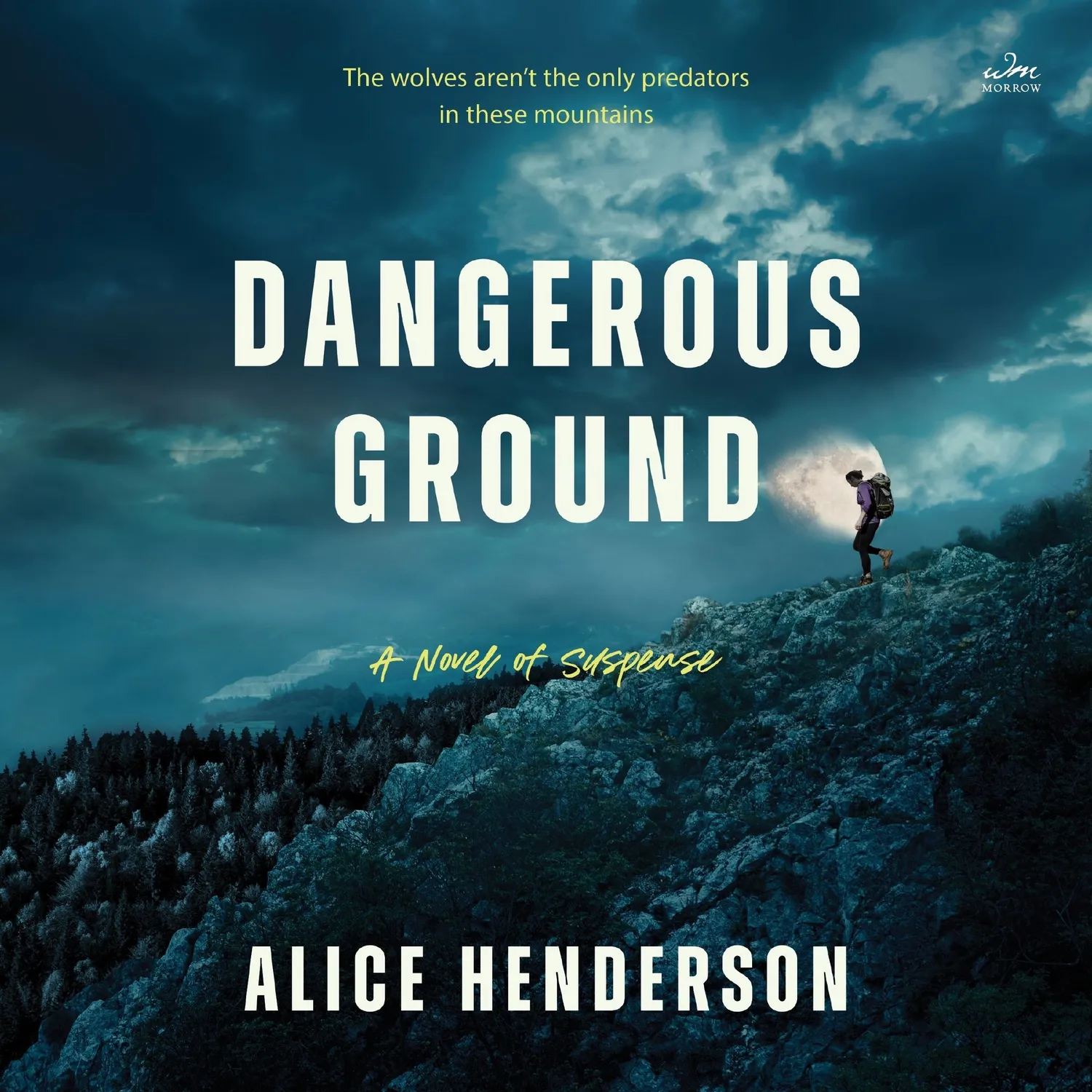 Wingbearer Saga Dangerous Ground bok innbundet thriller