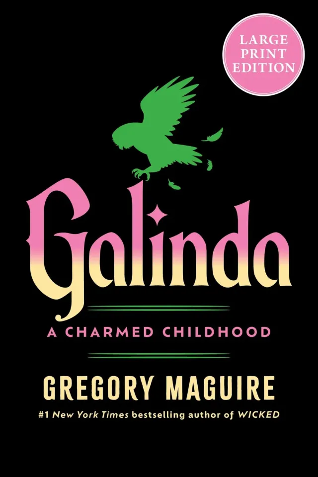 Wingbearer Saga Galinda roman stor skrift paperback large print