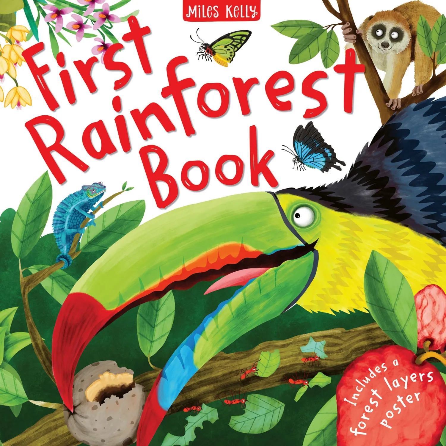 Wingbearer Saga First Rainforest Book innbundet 5 år+