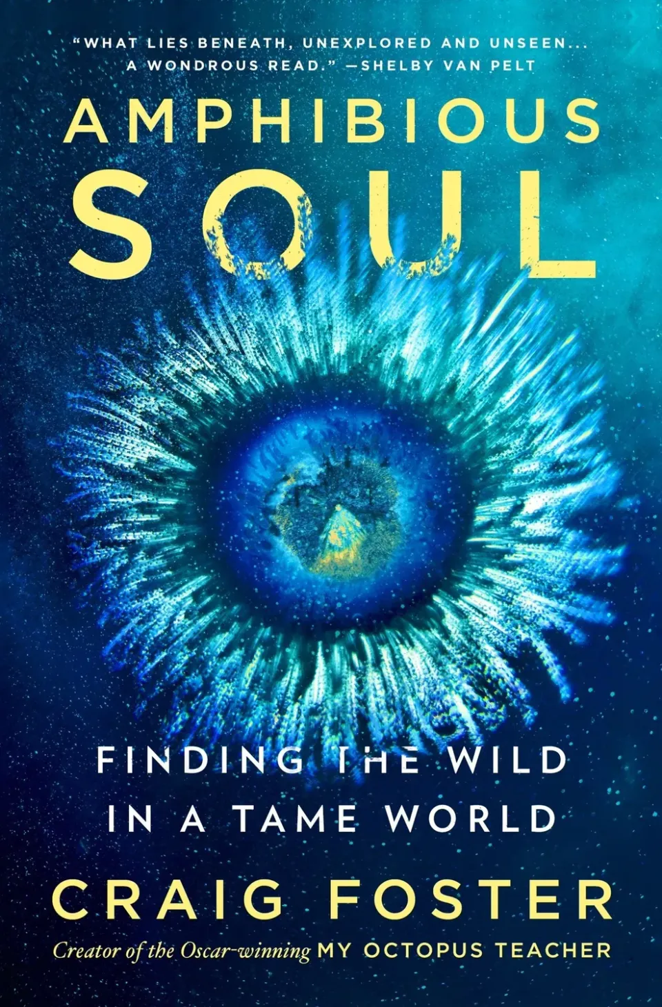 Wingbearer Saga Amphibious Soul ebok – havmemoar