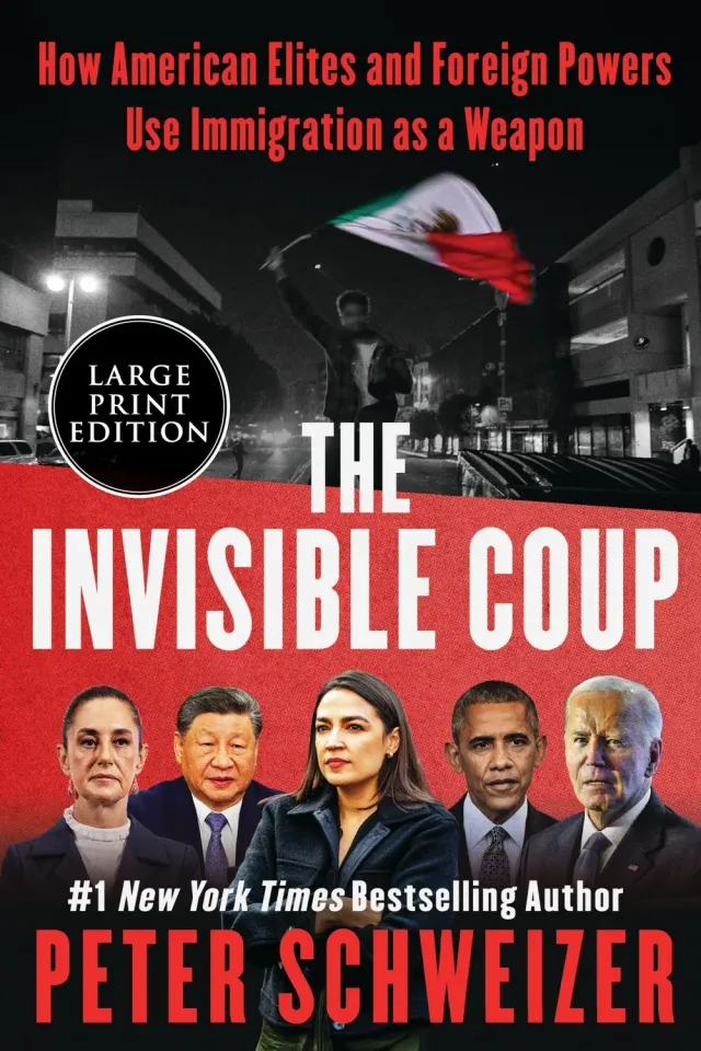 Wingbearer Saga The Invisible Coup bok innbundet