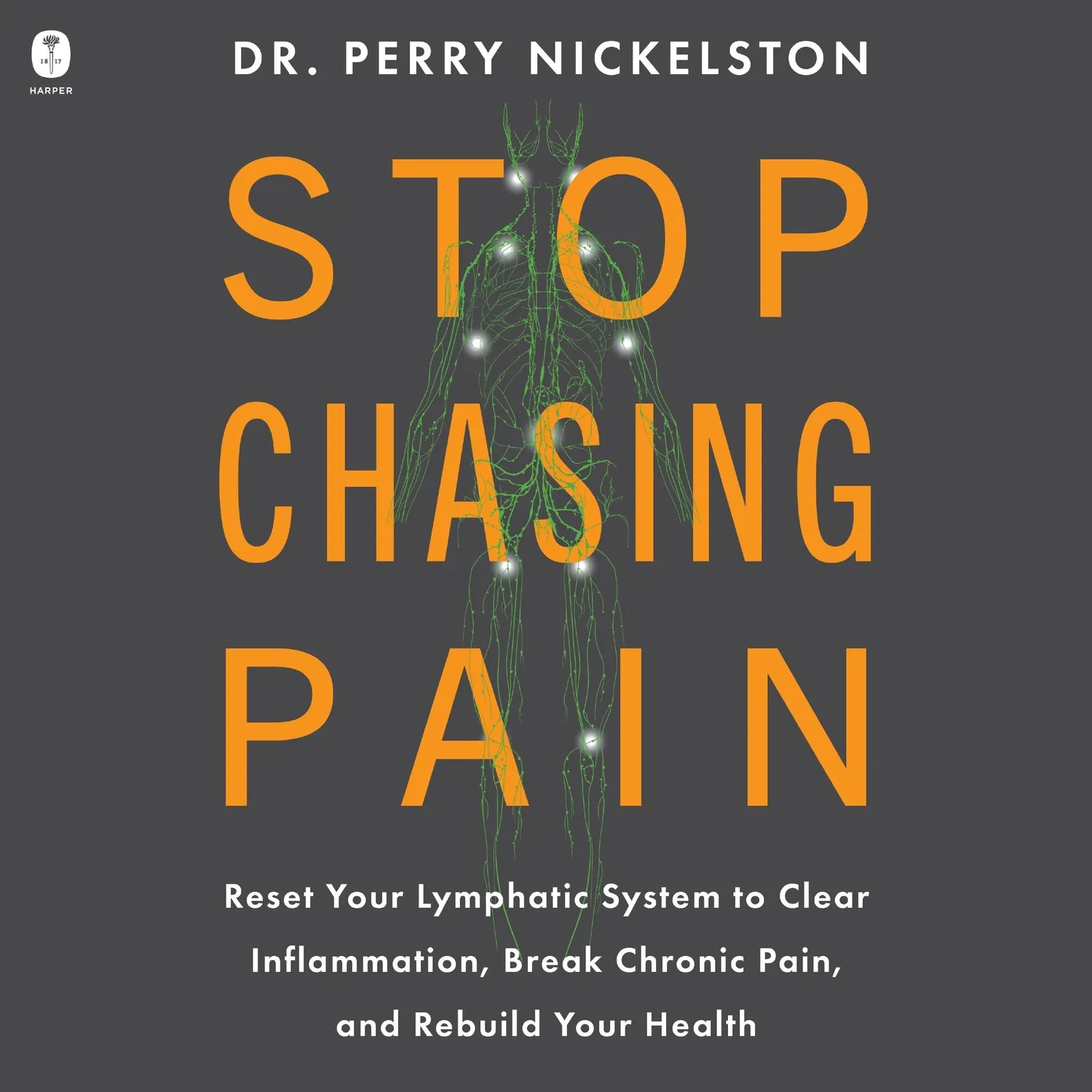 Wingbearer Saga Stop Chasing Pain lydbok digital helse