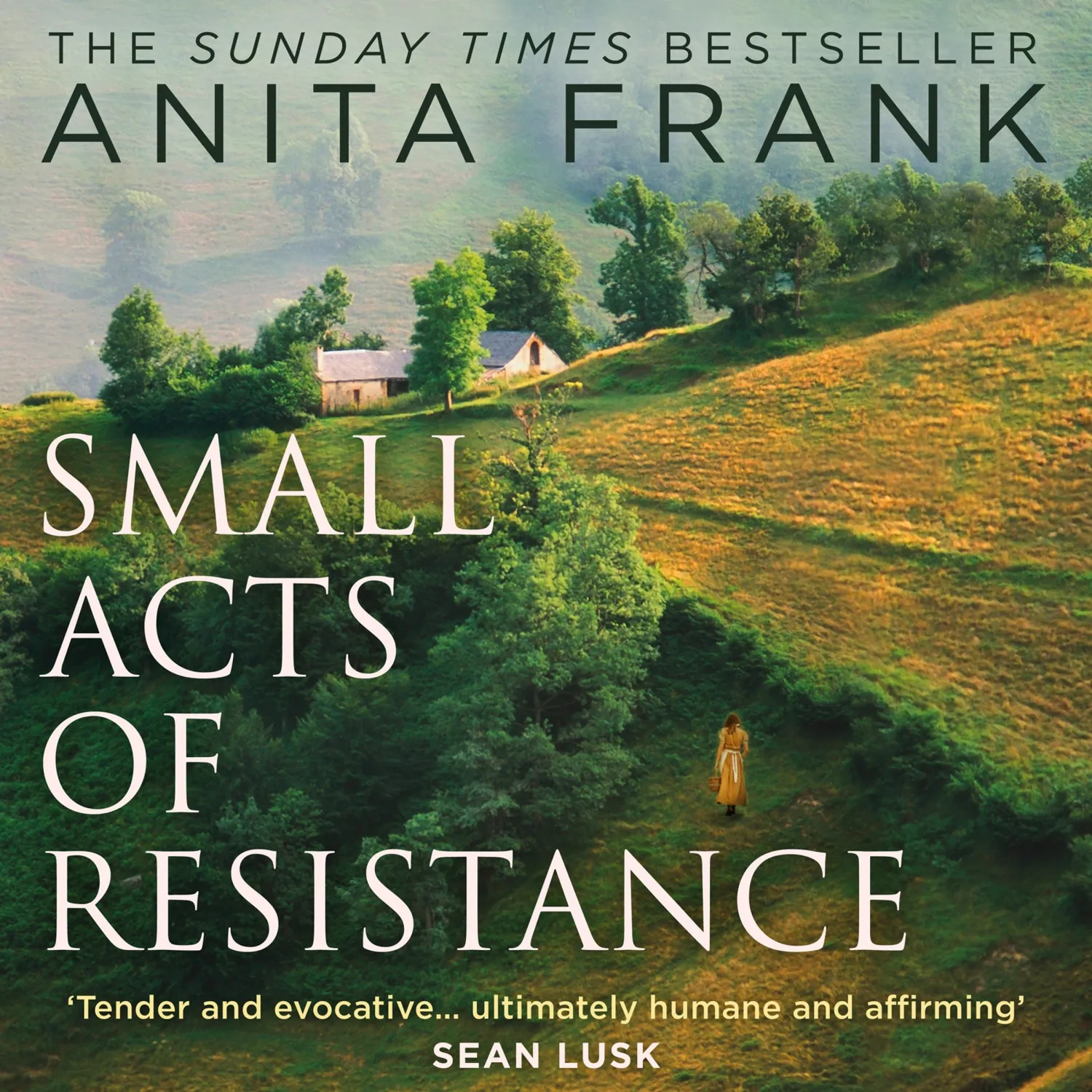 Wingbearer Saga Small Acts of Resistance pocketbok krig