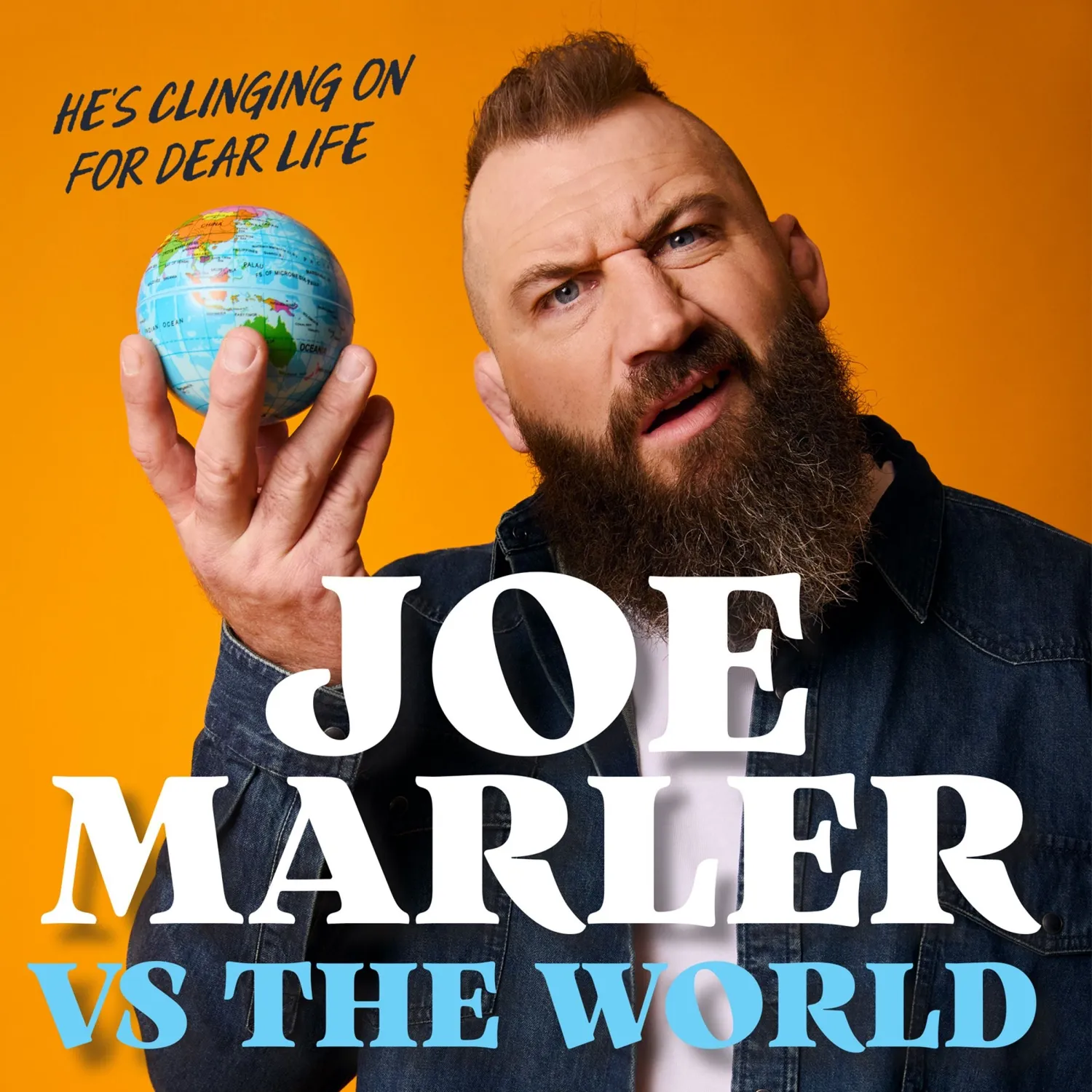 Wingbearer Saga Joe Marler vs The World e-bok humor