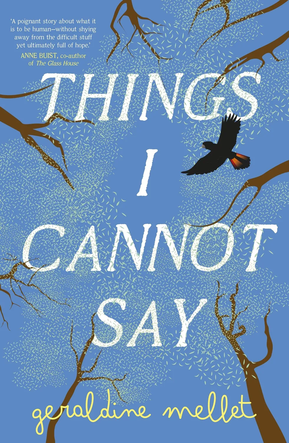 Wingbearer Saga Things I Cannot Say ebok roman debut