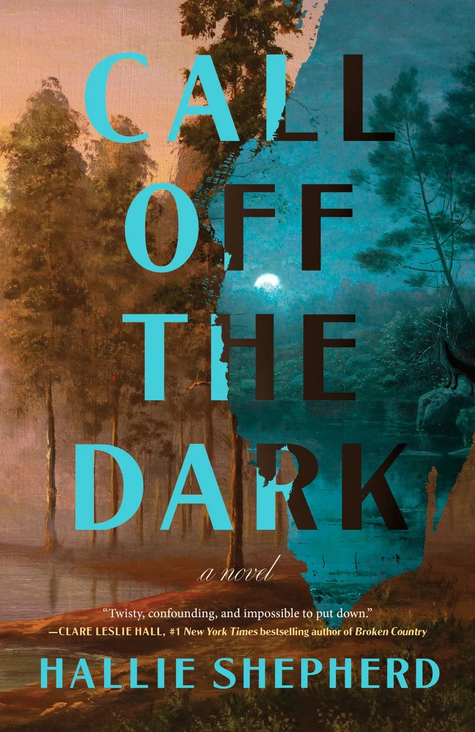 Wingbearer Saga Call Off the Dark bok innbundet thriller
