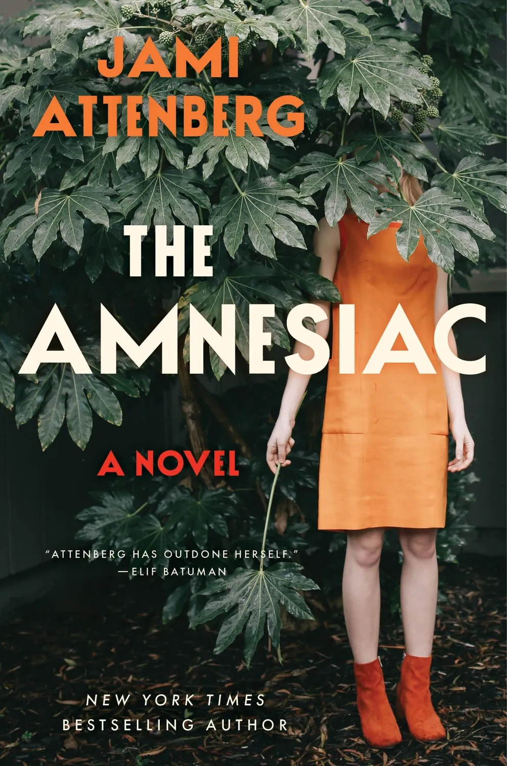 Wingbearer Saga The Amnesiac bok innbundet ekteskap
