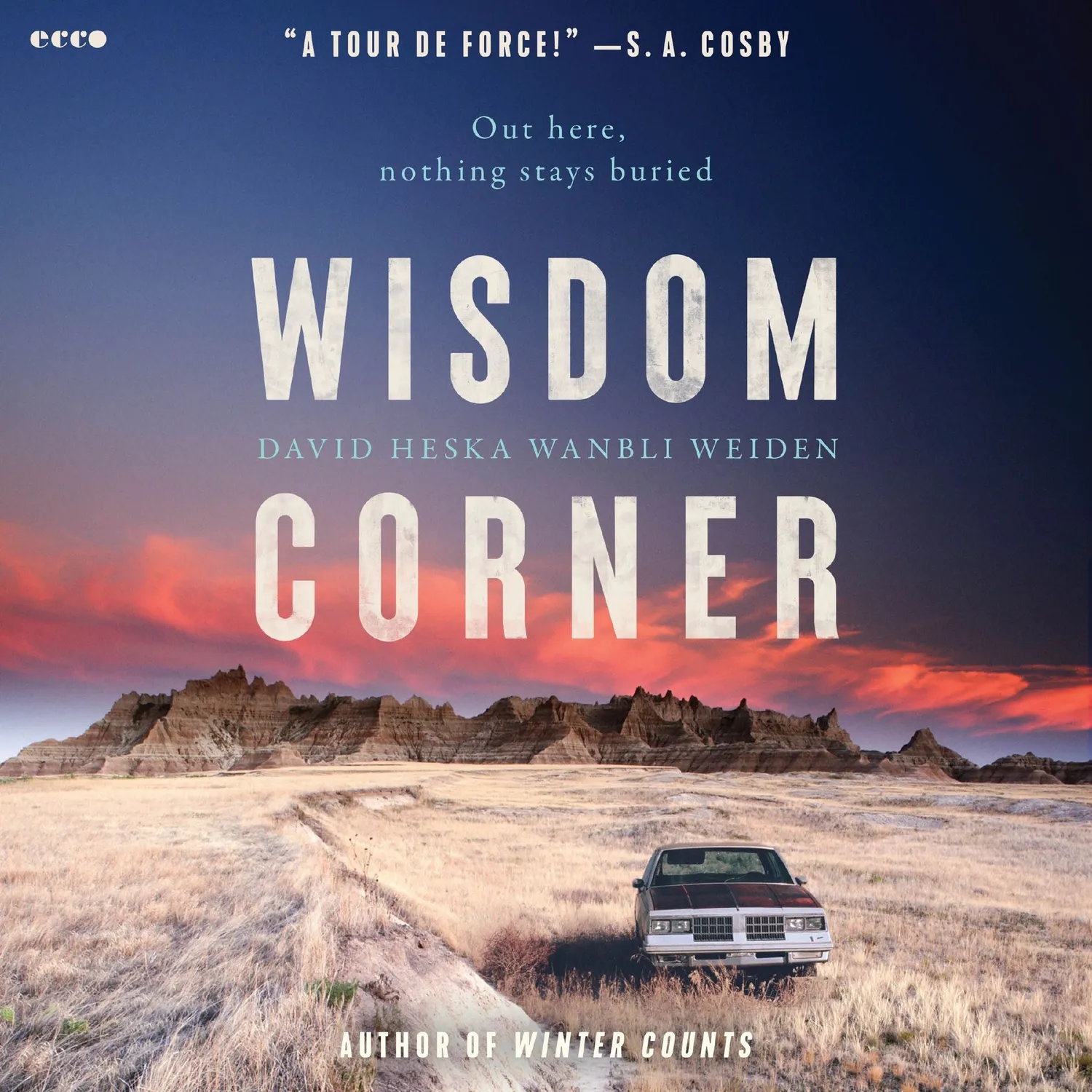 Wingbearer Saga Wisdom Corner Virgil Wounded Horse krim thriller