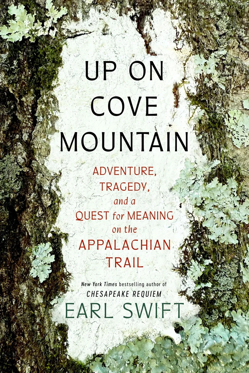 Mariner Books Up on Cove Mountain innbundet turmemoar