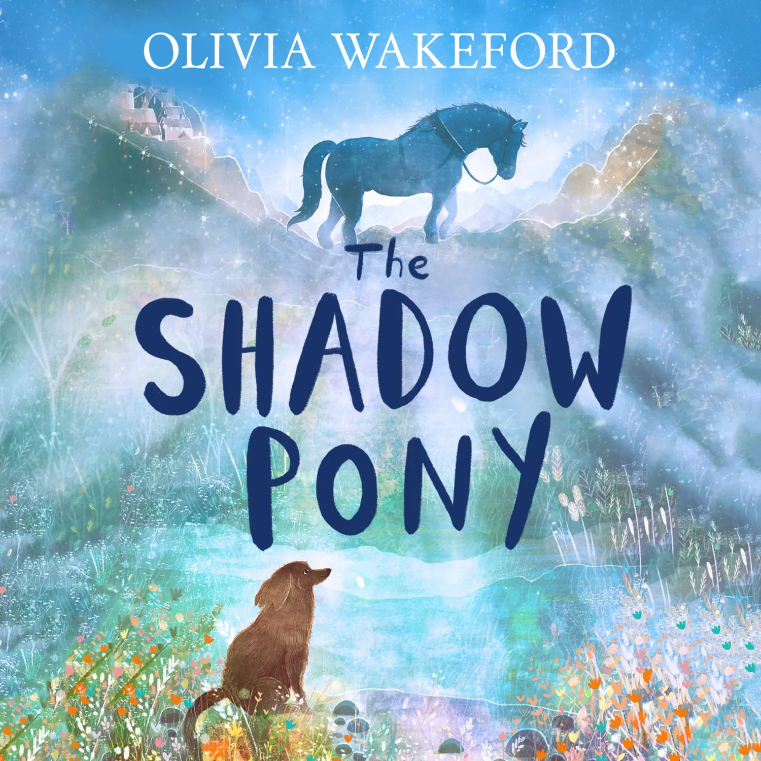 Olivia Wakeford The Shadow Pony e-bok gruveponni
